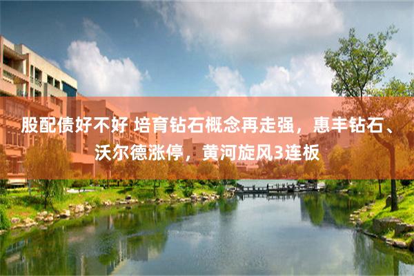 股配债好不好 培育钻石概念再走强，惠丰钻石、沃尔德涨停，黄河旋风3连板