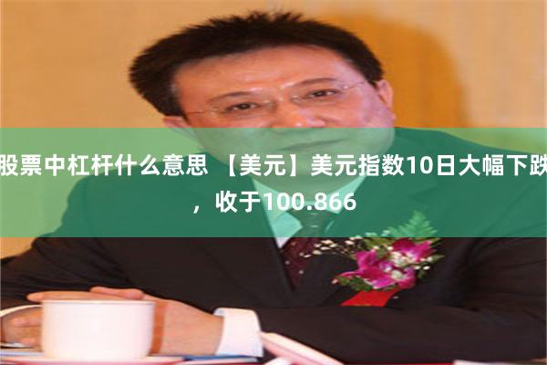 股票中杠杆什么意思 【美元】美元指数10日大幅下跌，收于100.866
