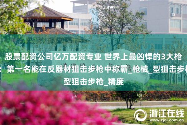 股票配资公司亿万配资专业 世界上最凶悍的3大枪中大炮：第一名能在反器材狙击步枪中称霸_枪械_型狙击步枪_精度