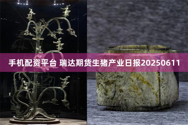 手机配资平台 瑞达期货生猪产业日报20250611
