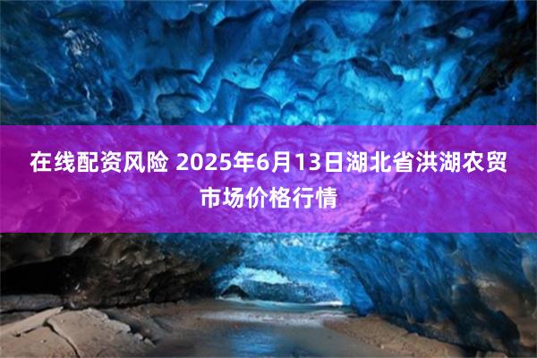 在线配资风险 2025年6月13日湖北省洪湖农贸市场价格行情