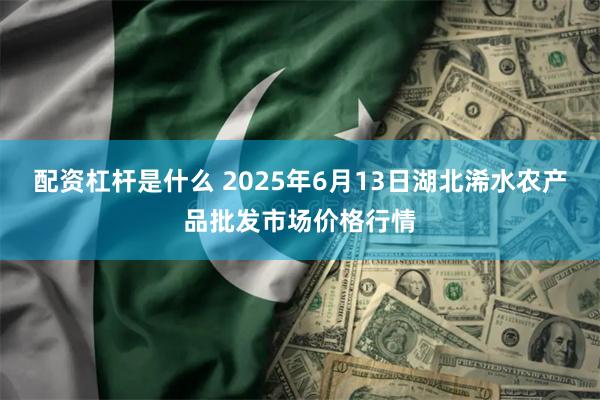配资杠杆是什么 2025年6月13日湖北浠水农产品批发市场价格行情