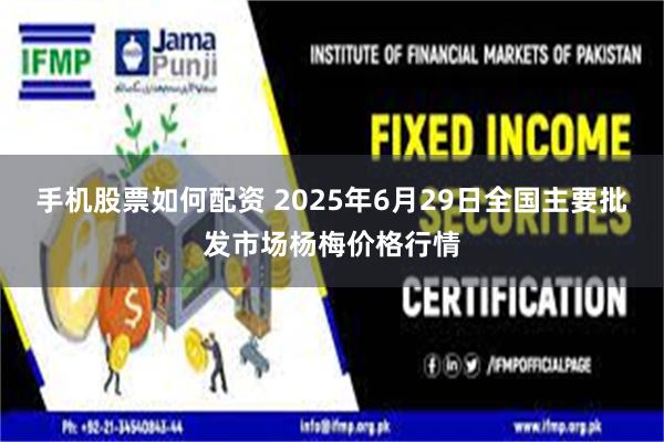 手机股票如何配资 2025年6月29日全国主要批发市场杨梅价格行情
