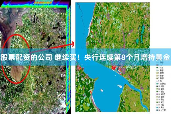 股票配资的公司 继续买！央行连续第8个月增持黄金