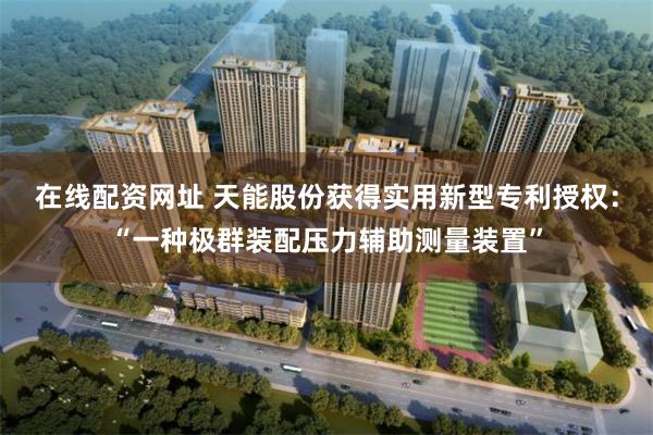 在线配资网址 天能股份获得实用新型专利授权：“一种极群装配压力辅助测量装置”