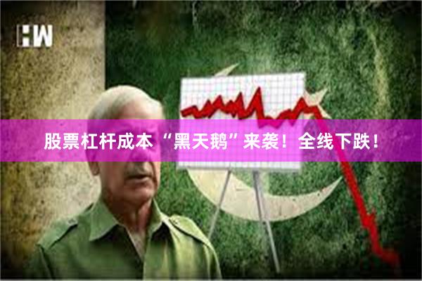 股票杠杆成本 “黑天鹅”来袭！全线下跌！