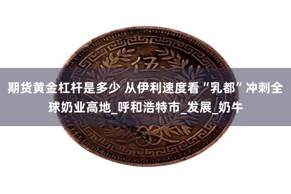 期货黄金杠杆是多少 从伊利速度看“乳都”冲刺全球奶业高地_呼和浩特市_发展_奶牛