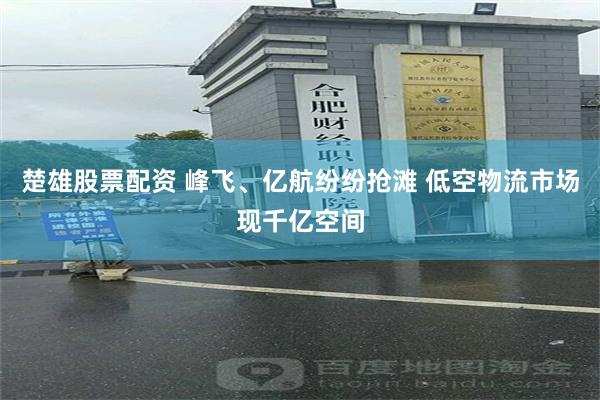 楚雄股票配资 峰飞、亿航纷纷抢滩 低空物流市场现千亿空间