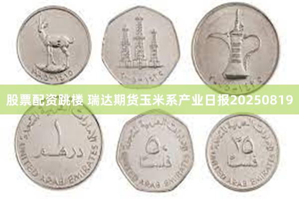 股票配资跳楼 瑞达期货玉米系产业日报20250819