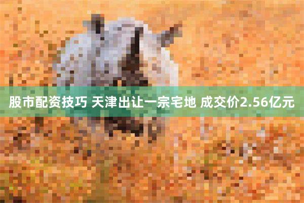 股市配资技巧 天津出让一宗宅地 成交价2.56亿元