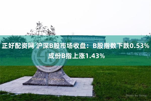 正好配资网 沪深B股市场收盘：B股指数下跌0.53% 成份B指上涨1.43%