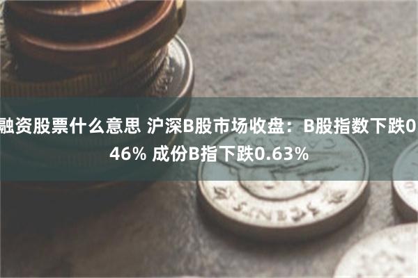 融资股票什么意思 沪深B股市场收盘：B股指数下跌0.46% 成份B指下跌0.63%